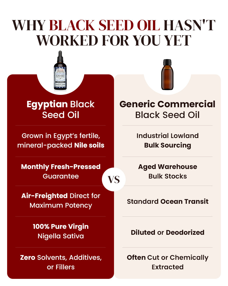 Egyptian Black Seed Oil 3.38 oz. (Certified Organic, Cold Pressed)
