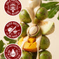 Shea Nilotika Cold-Pressed Virgin Shea Butter MANGO